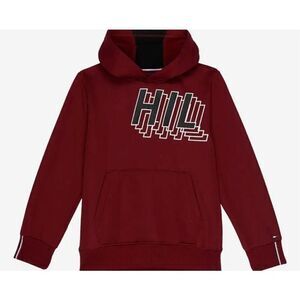TOMMY HILFIGER KIDS - NWT Todder Boys Size 4 TSP Fast Break LS Pullover Hoodie♥️